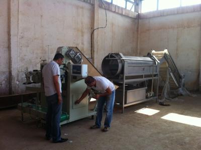 China Customized Carrot / Potato Packing Machine for sale