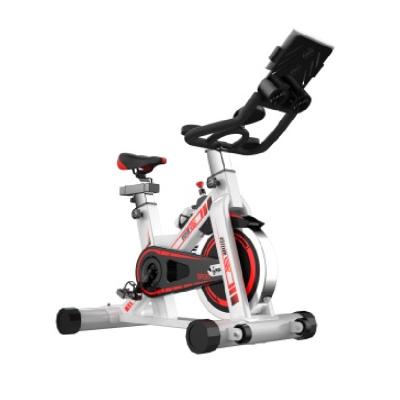 China Home Use Household Body Fit Gym Master Sporting Goods Dynamic Exercise Bike Retraining Spin Bikes for sale