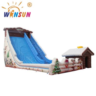 China Theme Park Playground Reinforced Plastics Professional Water Slides Inflatable Dry Slide for sale