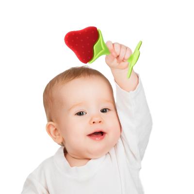 China AliGam BPA Free Baby Teether Toys Teething Relief Fruit Silicone Teether Toys Chew Organic Bpa Free Newborn Baby Product for sale