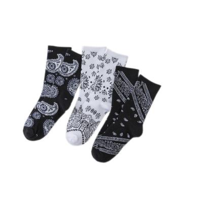 China European and American popular cotton socks fashion hip hop style CIS sports stockings men's and women's national socks for sale