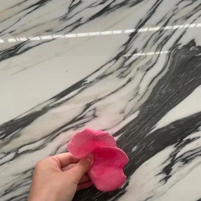 China Modern White Italy Corchia Arabescato Marble Slab, Arabescato Marble Price, Arabescato Marble for sale