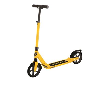 China Hot Selling Cheap Foldable Youth Outdoor Sports Big Wheel Kick Scooter Quickly For Sale For Adults for sale