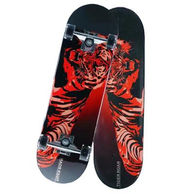 China Cheap Youth Canadian Maple 22 Inch Plastic Skateboard Outdoor Custom Decks Skate Board for sale