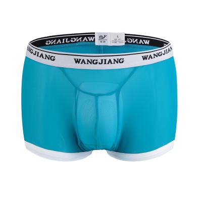 China Custom Made Men Anti-Static Mesh Underwear Transparent Sexy See Through Short Boxer Underwear for sale