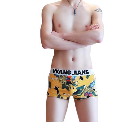 China Mesh Fabric Young Boy Men's Underwear Anti-static Custom Printed Sexy Boxer or Briefs for sale