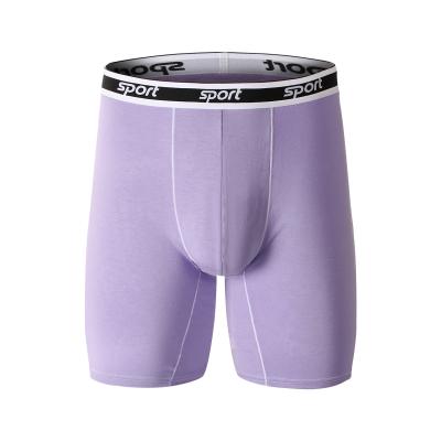 China Sustainable Custom Breathable Low MOQ Plus Size Modal Underwear Underwear Boxer Briefs For Men for sale