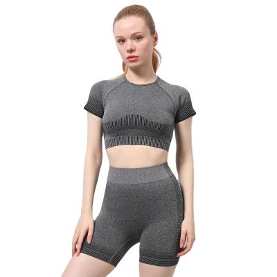 China Hot Sale QUICK DRY Short Sleeve Yoga Wear Gym T-Shirts Gym T-Shirts Culture Crop Workout Shirts Women's Fitness Tops Workout Women's Gym Sportswear coaching for sale