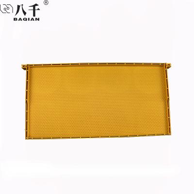 China Beekeeping Beekeeping Basic Yellow Plastic Sheet Bee Farm Crack Prevention Base Plastic Black Base Hive Frames for sale