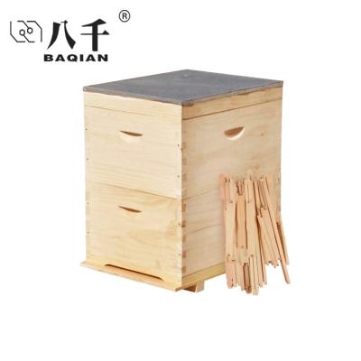 China Unmounted Australian Beehive 8 Frame Langstroth Frame 10 Beehive Farms Australian Beekeeping Equipment for sale