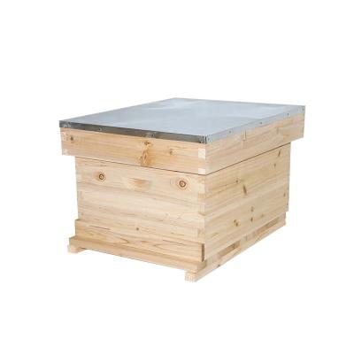 China Easily Assembled A Hive Box Beekeeping Equipment Tool Single Level Bee House Hive With Bee Frame for sale