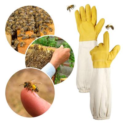 China Beekeeping Beekeeping Supplies Bee Keeping Gloves Unisex Breathable Sheepskin Vented Anti Sting Beekeeper Gloves For Beekeeping for sale