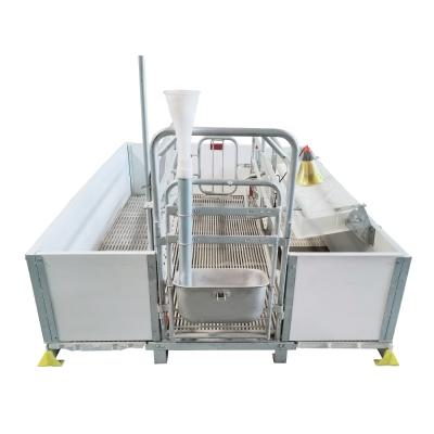 China Easily install pig farm equipment farrowing crate for sale