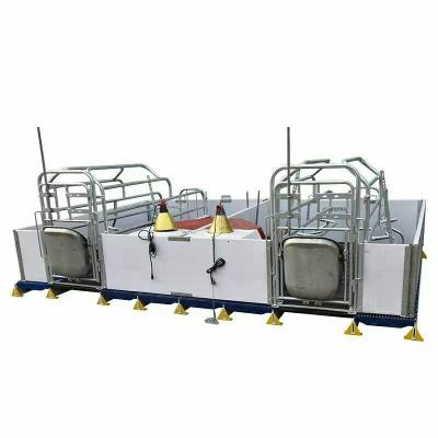 China Cattle cages european or composite pig crate for farrowing sow for sale