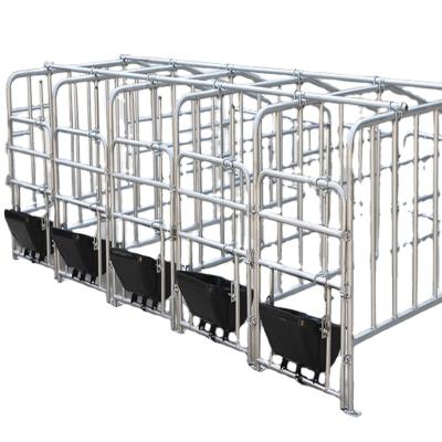 China Farms Pig Farm Equipment Sow Gestation Fence Pig Cage for sale