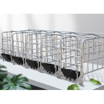 China Farms Pig Farm Sow Gestation Pens For Sale for sale