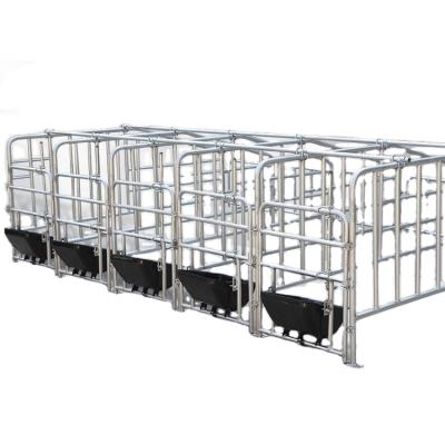 China Farms Pig Farm Equipment Sow Placing Bar Gestation Crate for sale