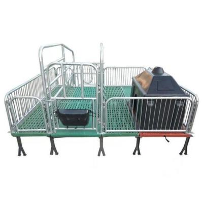 China Easily Install Galvanized Pig Farrowing Crate For Sale For Pig Farming for sale