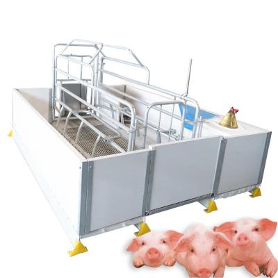 China Easy Install Machinery Supplier Livestock Farm Seed Farrowing Crates for sale