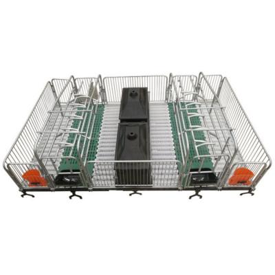 China Easy Install Factory Supply Equipment Pig Farrowing Crate For Sow Farrowing for sale