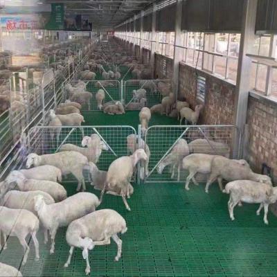 China Brand New Farms 2021 Sheep Manure Leakage Board Size 60 By 60 Cm for sale