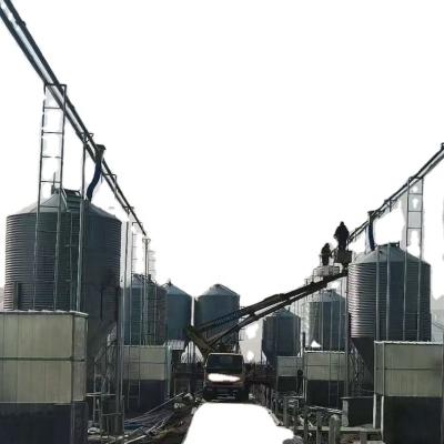 China Cultivates Professional Design Multi-Storey Construction Type Modern Pig Farm With Automatic Feeding System for sale