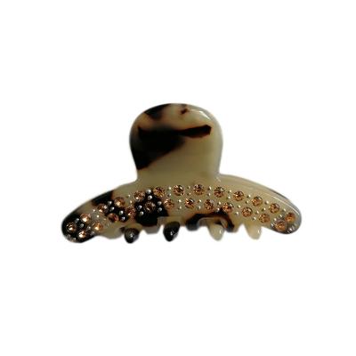 China 2021 Fashion Factory Direct Sales Acetate Small Female Crystal Hair Claw Clip Headdress for sale