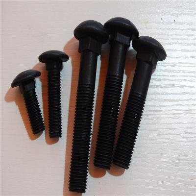 China Steel Din 603 Grade 4.8 Carbon Steel Panhead Carriage Bolts for sale