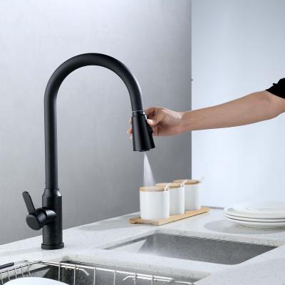 China Pull Out Spray AecTex New Product 304 Stainless Steel 360 Degree Swivel Pull Out Kitchen Faucets Pull Down Faucet for sale