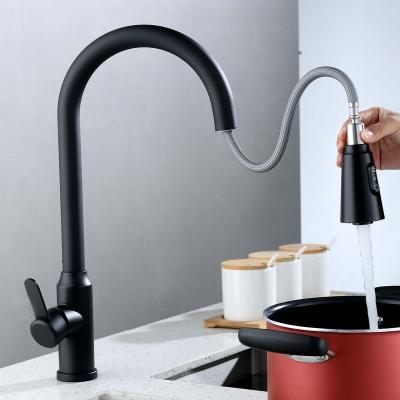 China Pull Out Spray AecTex Single Lever Brushed Single Handle Flexible Hose Pull Out Sink Faucets Kitchen Sink for sale