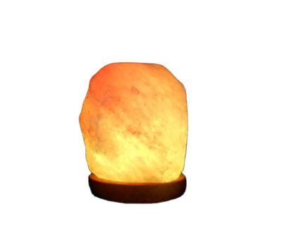 China Europe Natural Hand Carved Crystal Wooden Lamp Rock Salt Light Himalayas Night Usb Led Lamp Base for sale