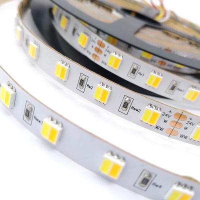 China Hotel 5050 CW/WW LE TDC 24V Double Color Temperature Double White Adjustable Flexible Color LED Strip for sale