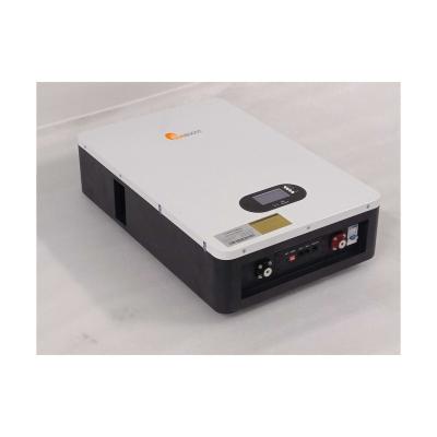 China New Model Customized Solar Lithium Battery Home Energy Storage System Solar Storage Battery ESS-HW01 for sale