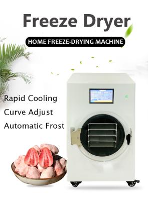 Cina Industrial Commercial Home Food Candy Mini Freeze Dryer Machine With Free Oil Vacuum Pump in vendita