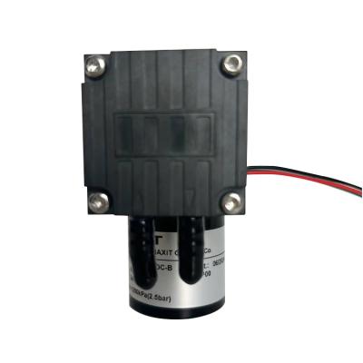 China Small DC Vacuum Pump Positive Pressure Negative Pressure Miniature Cosmetic Medical Diaphragm Pump for sale