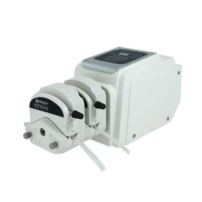 China BT100-2J High Quality Food Laboratory Metering Peristaltic Water Pump for sale