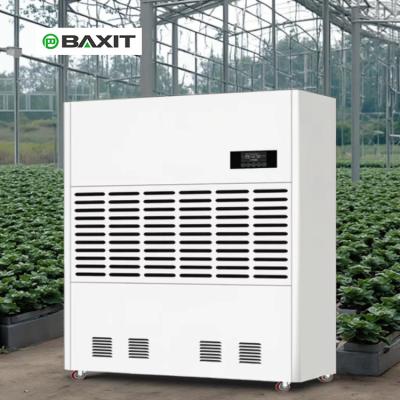 China Large Industrial Dehumidifier with 1440L per Day Capacity for Warehouses & Greenhouses 1 Year Warranty for sale