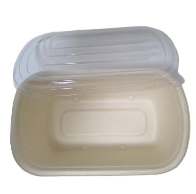 China Disposable Disposable Clamshell Plastic Transparent Food Container for sale