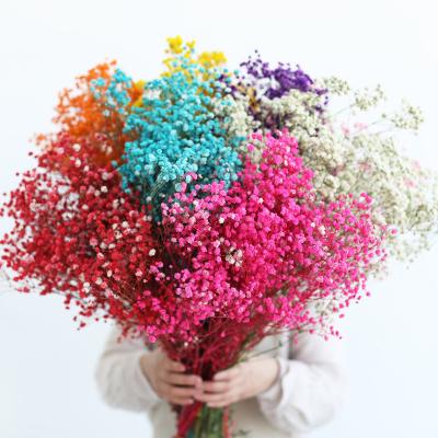 China 1pcs Fresh Blooming Rose Glass Preserved Fresh Flower Wholesale Preserved Jar Baby's Breath Home Decoration for sale