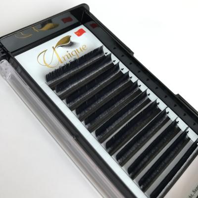 China Uniquelashes Natural Soft Flat Lash 0.15 0.20 Ellipse Flat Individual Eyelash Extensions for sale