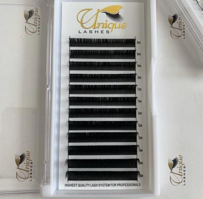 China Super Light And Soft Fake Eye Lash 0.15 0.2MM CC DD Loop Flat Lash Fan Matte Easy Lashes for sale