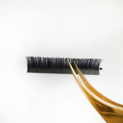 China Korea Professional Ultralight Ellipse Flat Lash Beautiful Natural Black Eyelash Extension for sale