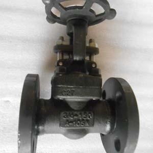 China DN20 RF Flanged End Gate Valve Class 150  Intergral Type API602 for sale