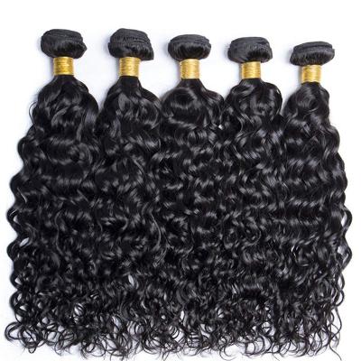 China Hot Selling Peruvian Water Wave Soft Thick Smooth Virgin Peruvian Cuticle Aligned Hair Bundles With Closure Hair Extensions Hair for sale