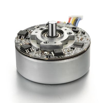 China 12V 18V 24V Totally Enclosed Outer Rotor Brushless DC Motor For Fascial Gun for sale