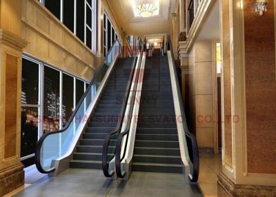 China 1200mm Indoor Shopping Mall Escalator Waterproof  Custom Width for sale