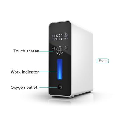 China For Home Use Factory Price 2L Adjustable Portable Oxygen Concentrato / On Board Oxygen Generator for sale