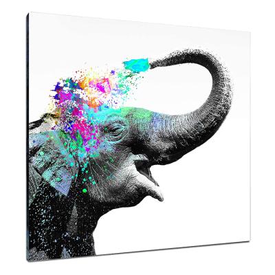 China Waterproof Animal Colorful Elephant Water Spray Picture Poster Canvas Print Main Wall Art Painting for sale