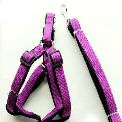 China High quality factory padded construction mirrored cheap single nylon waterproof dog collars and leashes for sale