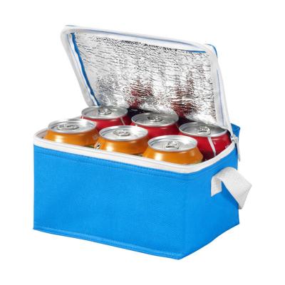 China 2021 Waterproof New Thermal Insulation Insulated Reusable Nonwoven Wine Cooler Bag for sale